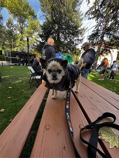 PetIQ In the Community